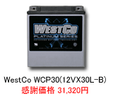 WestCo 12VX30L-B