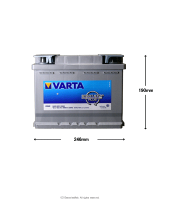 VARTA START STOP Plus 560-901-068 サイズ イメージ